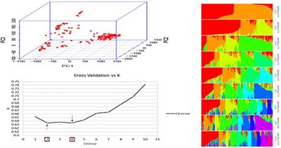 Linkage QTL Mapping and Genome-Wide Association Study on Resistance in Chickpea to Pythium ultimum